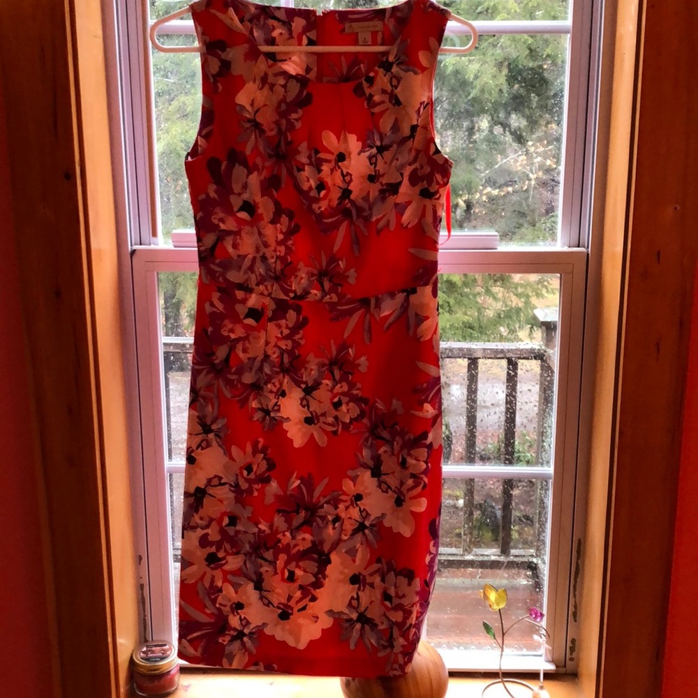 Dress barn dress